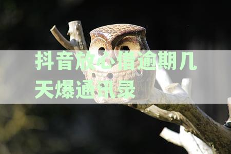 抖音放心借逾期会怎么样-抖音放心借逾期一天有没有影响