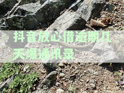 抖音放心借逾期几天爆通讯录