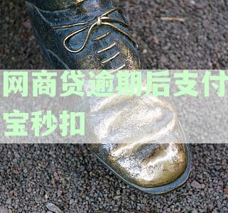 支付宝自动扣款规则：网商贷逾期后的秒扣时间解析