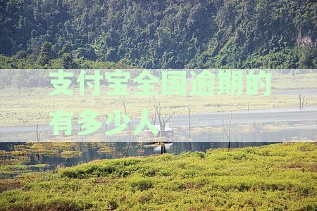 支付宝全国逾期的有多少人