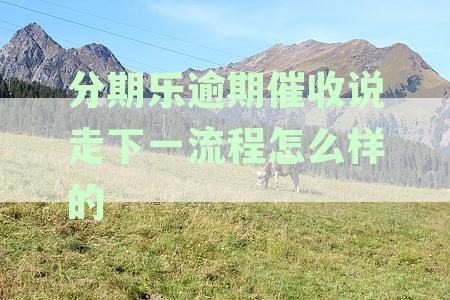 分期乐催收怎么办：急迫、烦扰和恶劣态度的应对策略