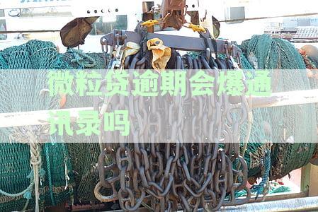 爆通讯录一般打给谁：如何保护手机通讯录免受泄露和逾期网贷的威胁？
