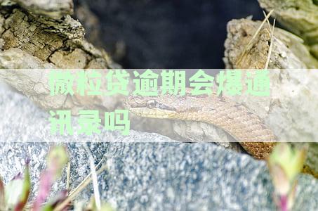 微粒贷逾期会爆通讯录吗