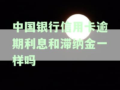 中国银行信用卡逾期利息与滞纳金解析：如何计算及区别？