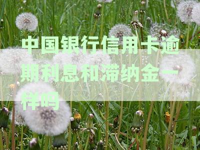 2021年中国银行信用卡逾期新法规全解析：处理方式与重要变化