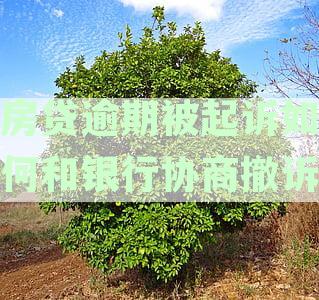 房贷逾期被起诉如何和银行协商撤诉讼费谁出