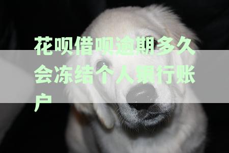 花呗借呗逾期多久会冻结个人银行账户？怎么解冻？