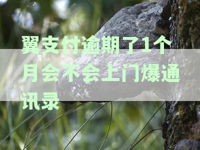 翼支付逾期多久会爆通讯录：逾期1个月、借钱逾期等情况下的后果与处理方式