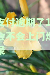 关于翼支付逾期还款的通知与处理方式