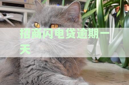 招商闪电贷逾期一天的后果及处理方法，如何避免逾期？