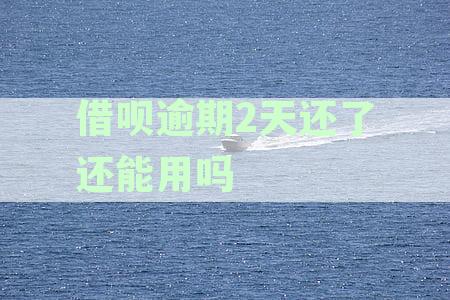 逾期两天的借呗还款后，是否可以再次借款并出来？