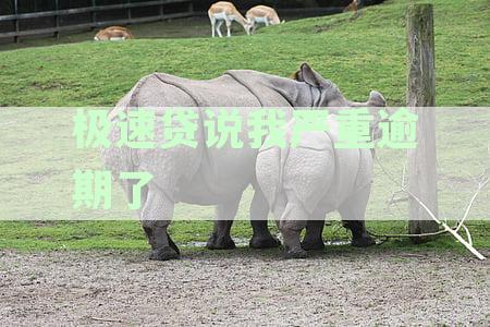 极速贷逾期欠款问题全面解答：原因、影响及解决方案