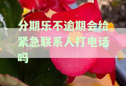 分期乐逾期还款：是否会联系紧急联系人？逾期几天会有电话催收吗？