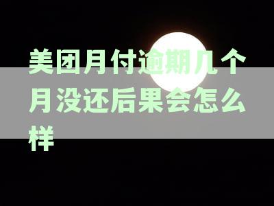 美团月付逾期还款的全方位解析：可能产生的后果及如何解决