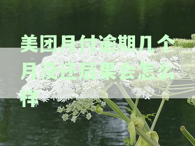 美团月付逾期后，还清款多久可以恢复信用额度和使用权？