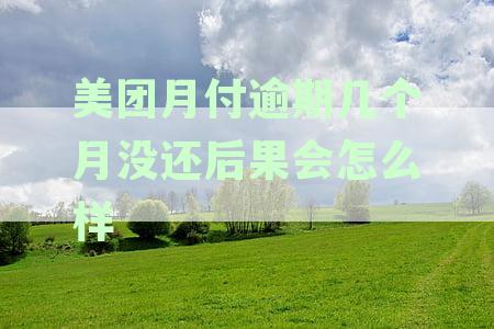 美团月付逾期10天可能面临的后果与处理方法：一篇全面解答