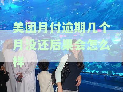 美团月付逾期半个月会上征信？后果有多严重？