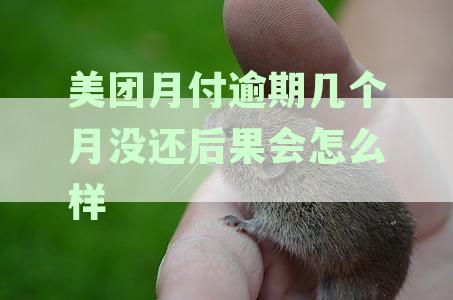 美团月付逾期几个月没还后果会怎么样