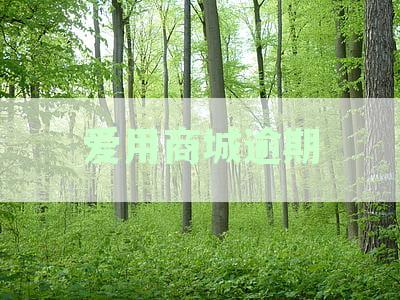 爱用商城逾期两年严重吗？如何处理及后果如何？