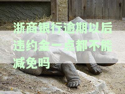 浙商银行逾期违约金减免真的吗？