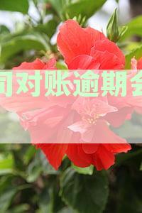 企业对账逾期可能导致的后果及解决方案：无法转账以外的影响