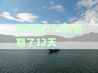 支付宝备用金逾期超过百日的处境与解决策略