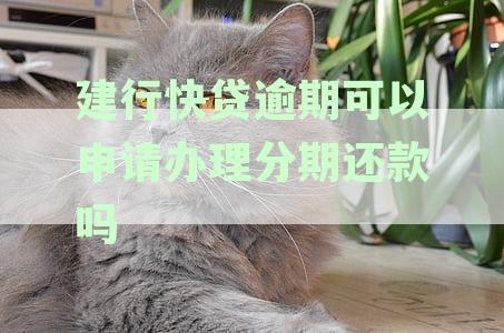 建行快贷逾期办理分期还款及后续借款问题解答
