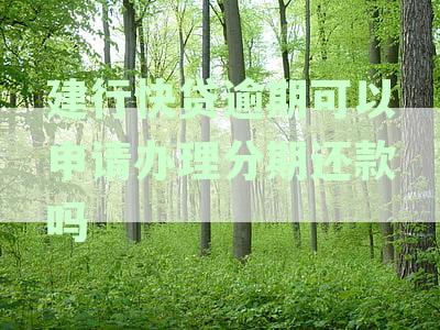 逾期还款后，建行快贷是否可以继续借款？如何处理？