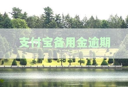 支付宝备用金逾期一天可能会产生的后果及影响探讨