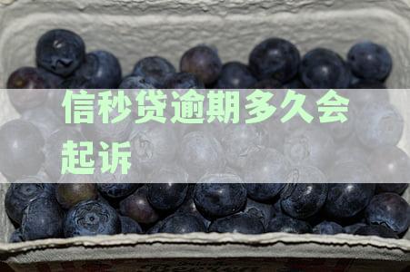 中信银行信秒贷逾期还款攻略：怎么样避免逾期？