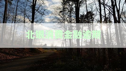 北银消费金融逾期还款一天，征信记录会受影响吗？解答所有相关疑问。
