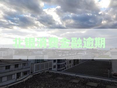 北银消费金融的逾期还款可能会引发的法律后果与应对策略