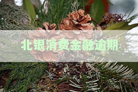 北银消费金融逾期4年未解决：用户权益受损、解决方案探讨与影响分析