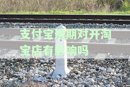 支付宝逾期与淘宝店经营关联性全面解析：对店铺信誉和交易有什么影响？