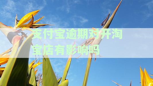 支付宝逾期对开淘宝店有影响吗安全吗？能否继续使用？