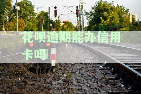 花呗逾期后如何办理信用卡？有哪些注意事和解决方法？