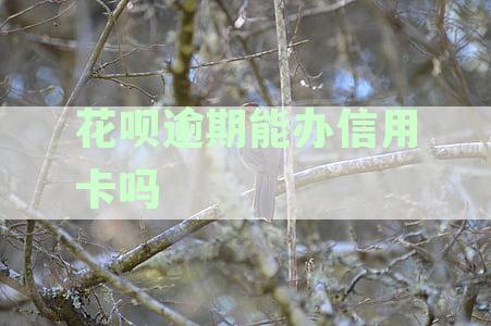 花呗逾期能否办理信用卡：花呗逾期后是否可以申请信用卡？