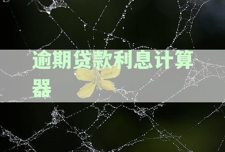 逾期贷款利息计算明细的详细指南和实用公式