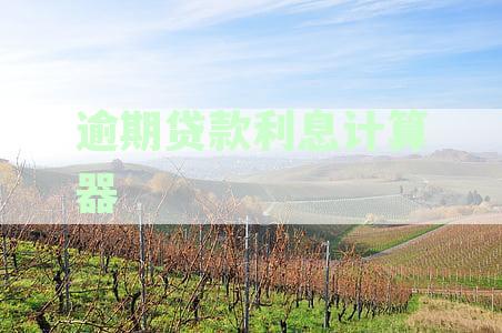 全面解析逾期贷款利率计算方法：如何应对逾期、影响因素与解决策略