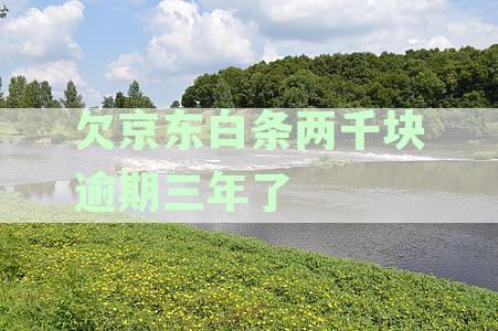 逾期三年未还两千元，是否会被起诉？如何解决此问题？