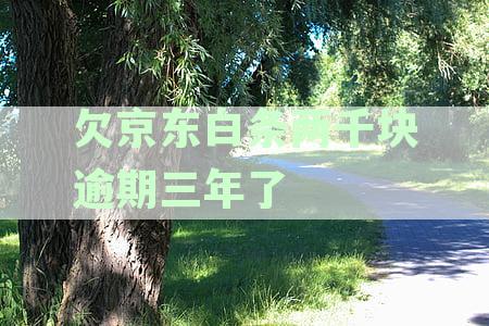 逾期两年多三千多元，后果如何？是否会被起诉？