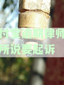 支付宝账户逾期处理策略：律师事务所电话咨询详解