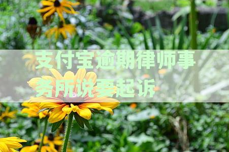 支付宝逾期被起诉，律师费由谁承担？一般需要多少费用？