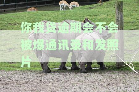 你我贷逾期会不会被爆通讯录和发照片给家人？会威胁吗，可报警起诉吗？