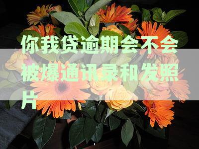 你我贷逾期后可能面临的后果：通讯录被爆和照片被泄露的风险，如何应对？
