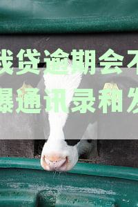 你我贷逾期会不会被爆通讯录和发照片
