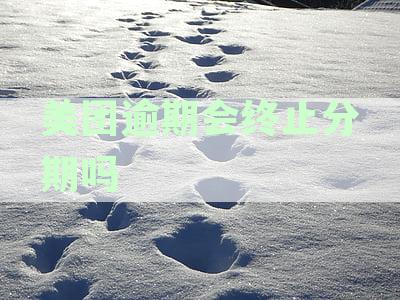 美团逾期还款协商分期攻略：如何分期解决逾期还款问题