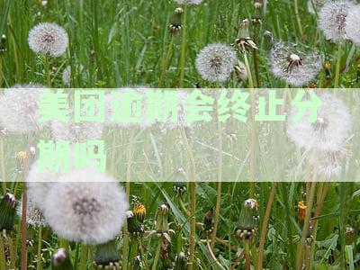 新美团逾期还款困扰？了解处理方式避免不必要的后果！