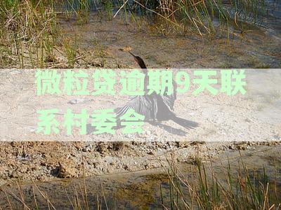 微粒贷逾期未还13天，银行会如何通知居委会及可能产生的后果？