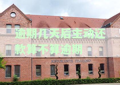 逾期还款后几天主动还款是否仍然算作逾期？详细解释及相关规定
